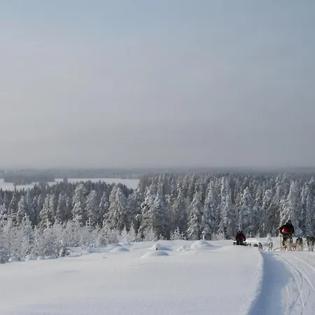 Saija Jokijarvi (Oulu)