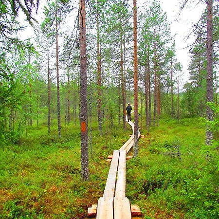 Saija Jokijarvi (Oulu)