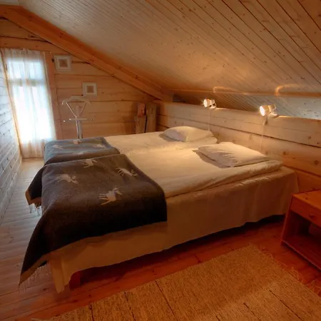 Saija Jokijarvi (Oulu)