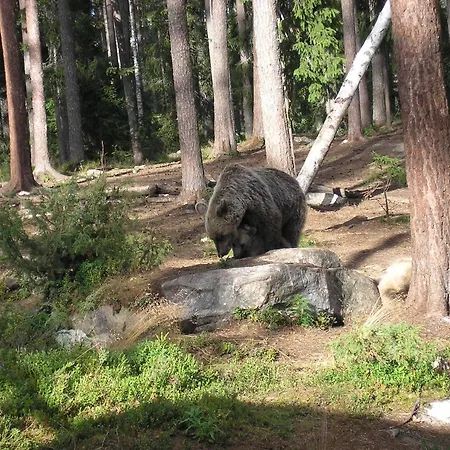 Hotel Saija Jokijarvi (Oulu)