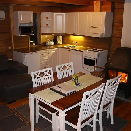 Saija Jokijarvi (Oulu)